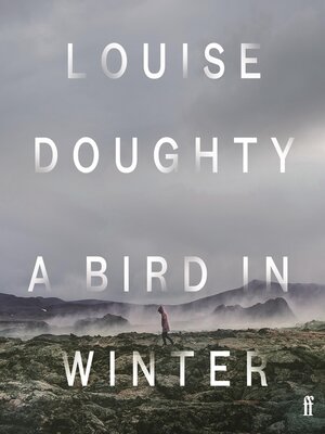 cover image of A Bird in Winter